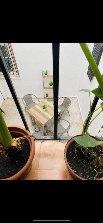 Apartamento San Eloy Con Patio Privado 科爾多瓦 外观 照片